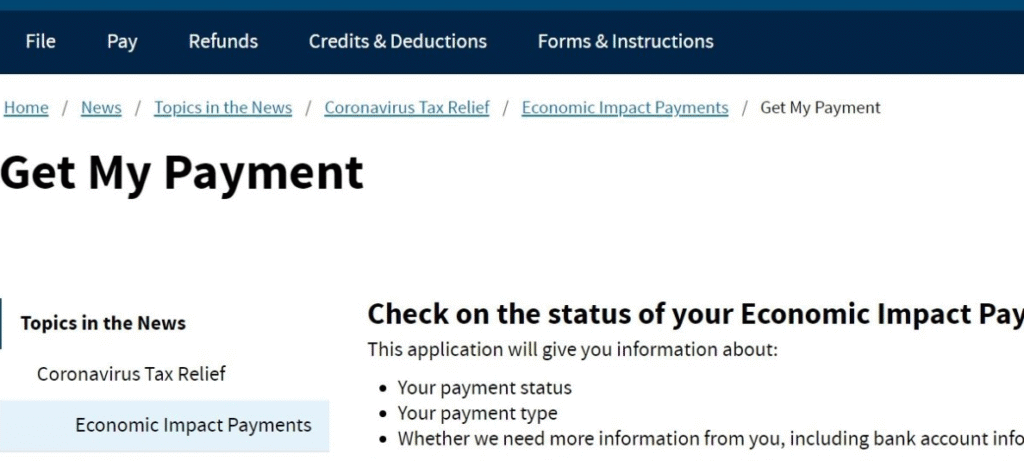 How to Check Your Payment Status?